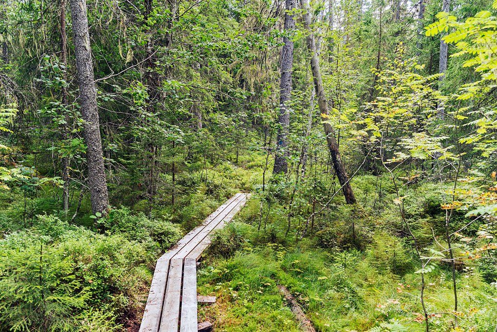 Vändåtberget Nature Reserve